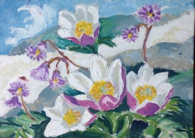 FIORI DI MONTAGNA Anemone Alpino e Soldanella 30x30 pittura ad olio su tela 2015