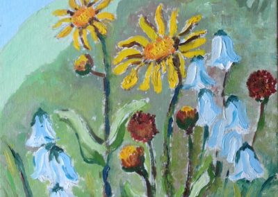 FIORI DI MONTAGNA Arnica Montana 30x30 pittura ad olio su tela 2015