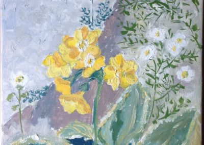 FIORI DI MONTAGNA Primula Veris 20x25 pittura ad olio su tela 2015