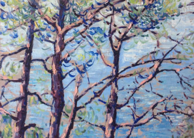 MONTE DI PORTOFINO dipinti all’aperto 60x50 pittura ad olio su tavoletta 1995